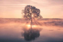 Akustikbild BAUM