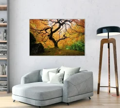Akustikbild DER BAUM