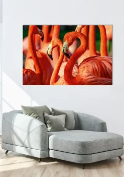 Akustikbild FLAMINGOS