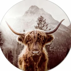 Aludibondbild SCOTTISH