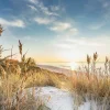Aludibondbild WILDERSTRAND
