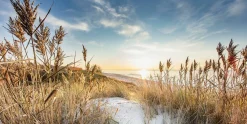 Aludibondbild WILDERSTRAND