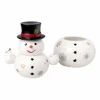 Dose Schneemann