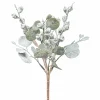 Eucalyptusbusch mit Früchten