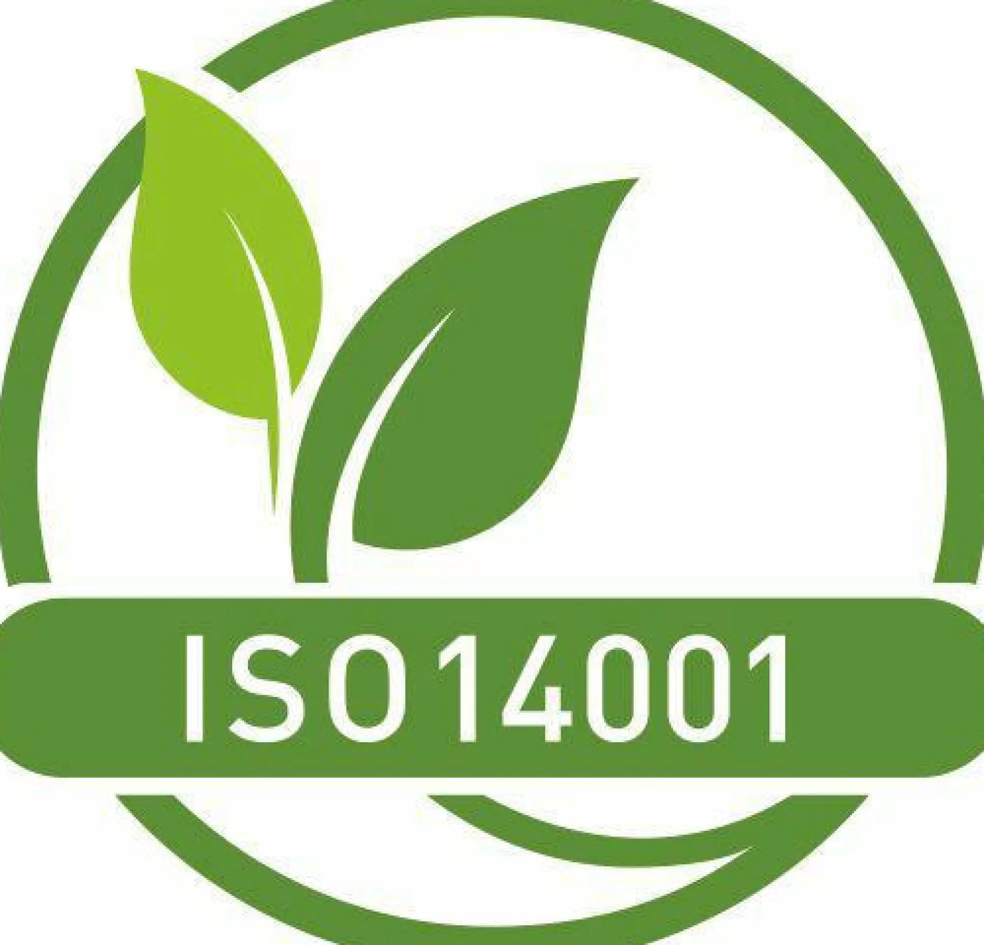 Fußmatte Galaxia