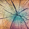 Fußmatte WOOD Land