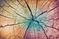 Fußmatte WOOD Land