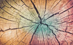 Fußmatte WOOD Land