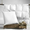 Ganzjahresbett PEARL