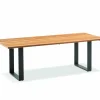 Gartentisch Noah