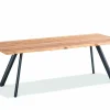 Gartentisch Solid