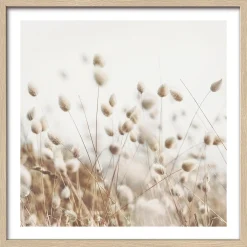 Gerahmtes Bild DRIED FIBER IV