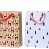 Geschenktasche
