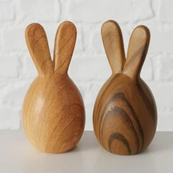 Hase WILHELMY