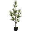 Kiefernbaum
