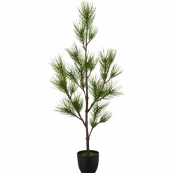 Kiefernbaum