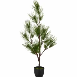 Kiefernbaum