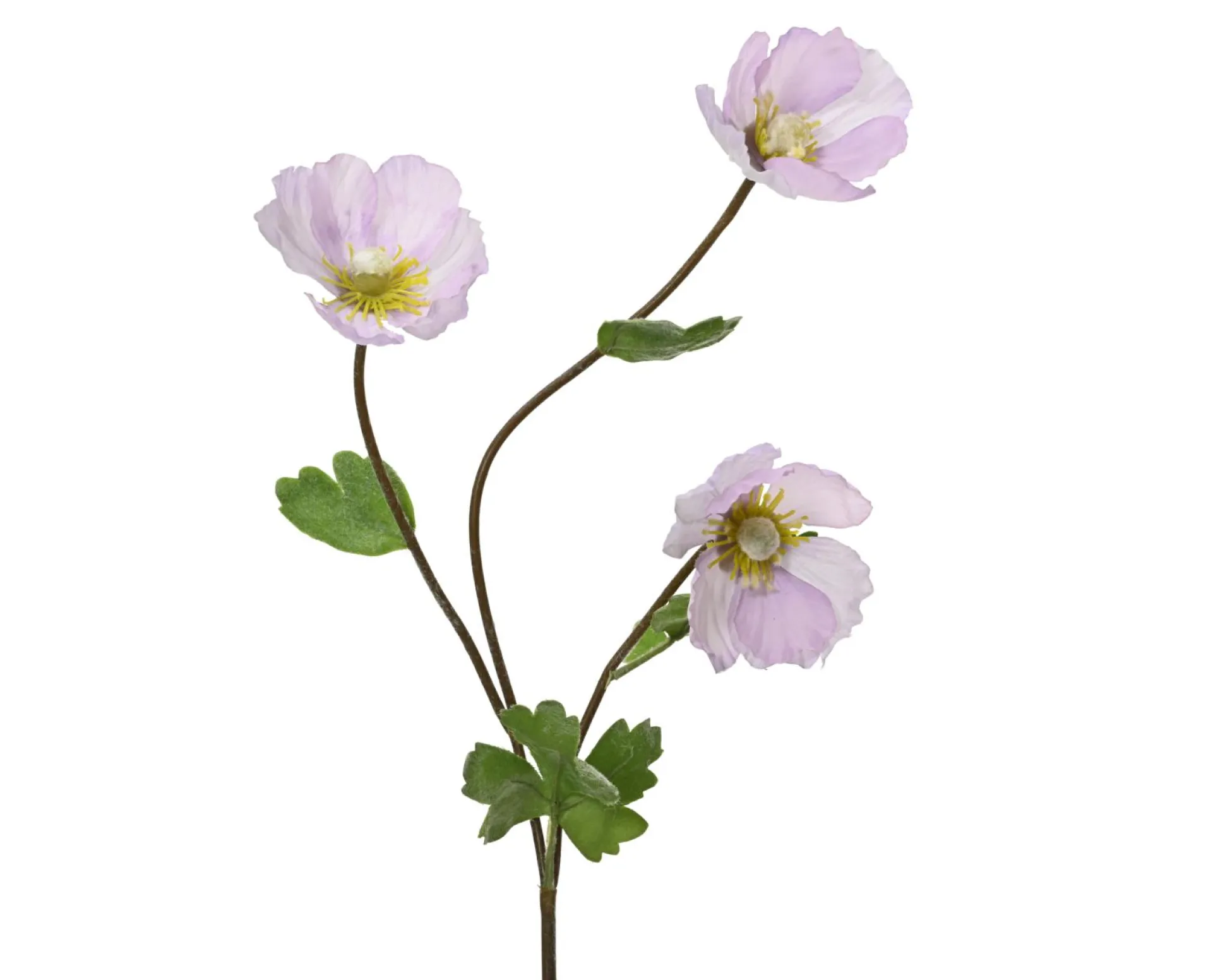 Kunstblume Mohn