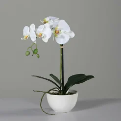 Kunstblume Orchidee