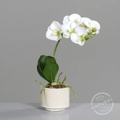 Kunstblume Orchidee