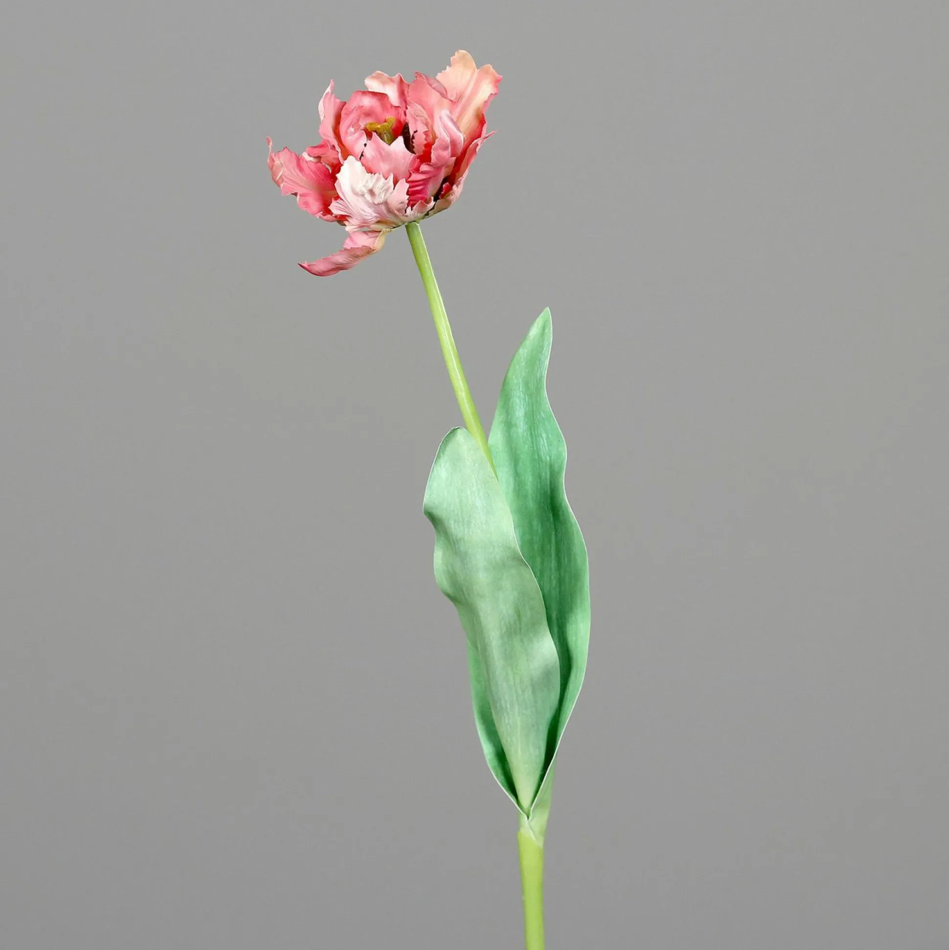 Kunstblume Tulpe