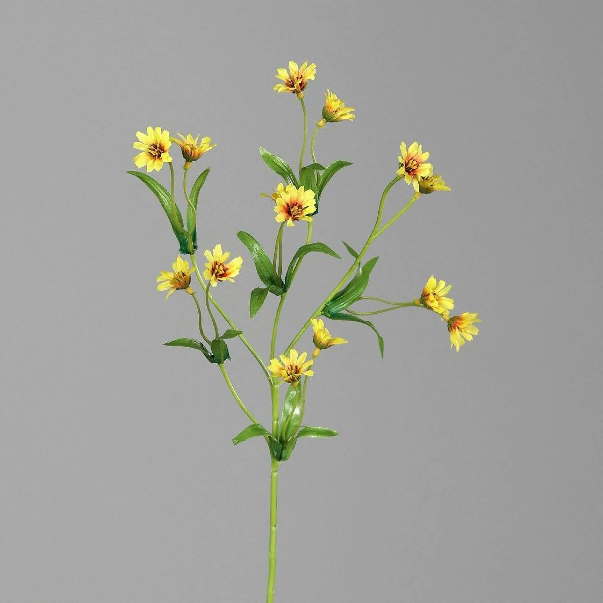 Kunstblume ZINNIE