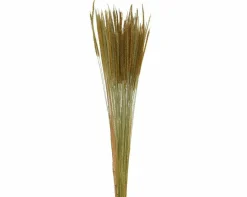 Kunstpflanze GRAS