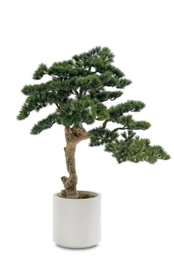 Kunstpflanze Kiefer-Bonsai
