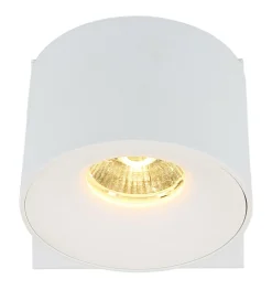 LED Strahler RAE