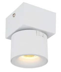LED Strahler RAE