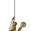 Pendelleuchte CHIMP