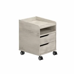Rollcontainer PAIDI 2S