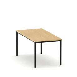 Schreibtisch E10