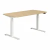 Schreibtisch PAIDI E-LION