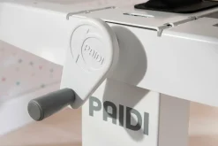 Schreibtisch PAIDI TEENIO 120
