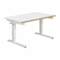 Schreibtisch PAIDI TEENIO 120