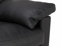 Sofa 2,5 Sitzer CLASSICS 300