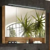 Spiegelschrank Aquarell BORDEAUX