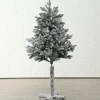 Tannenbaum YOKOHAMA