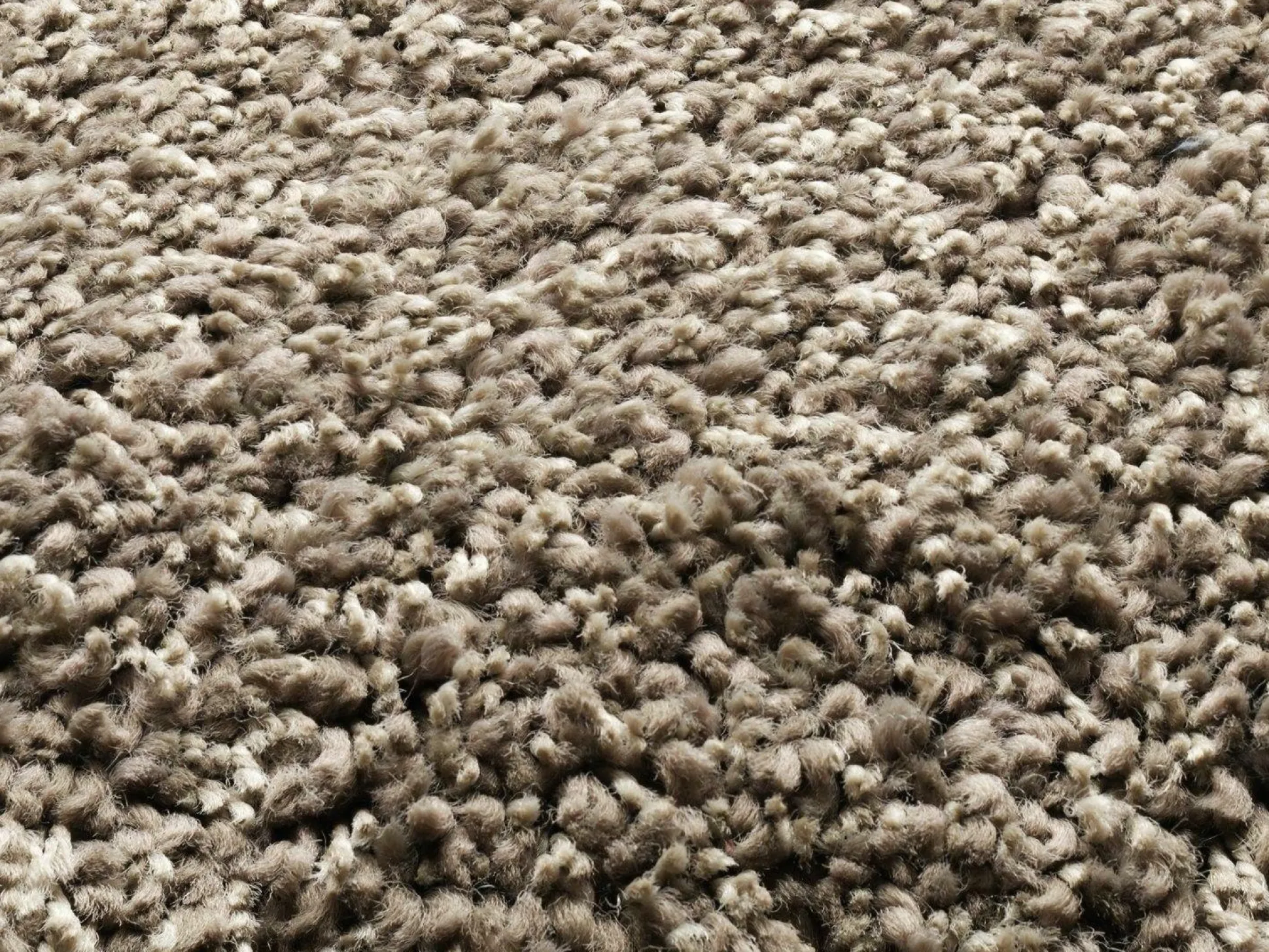 Teppich PHOENIX br/h`braun
