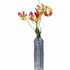 Vase BOTTLE