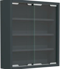 Vitrine AGISA