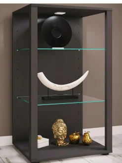 Vitrine GLASOL