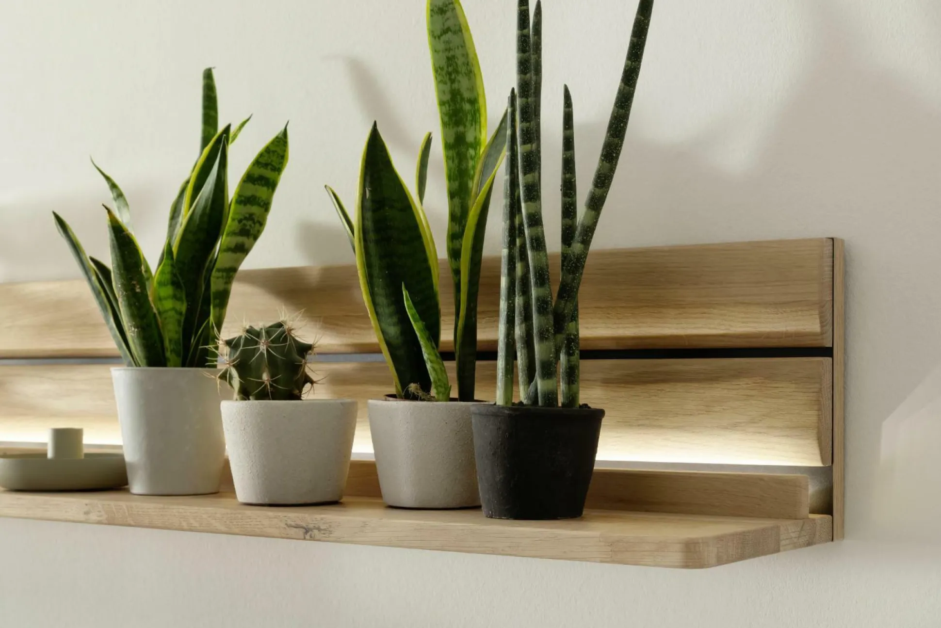 Wandboard GIRONA