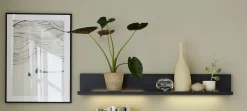 Wandboard MONDO ARTIST