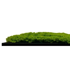 Wandpaneel MODULAR WALL