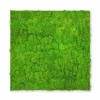 Wandpaneel MODULAR WALL